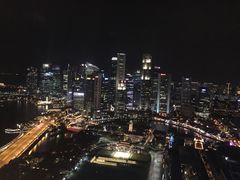 -新加坡瑞士史丹福酒店