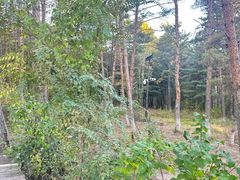 -帽儿山国家森林公园