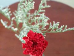 -厦门国家会计学院