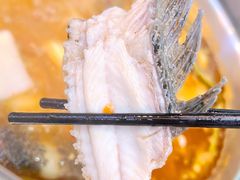 酸萝卜鱼火锅-大理.老字号渝记酸萝卜乌鱼(古城总店)