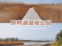 -野鸭湖国家湿地公园