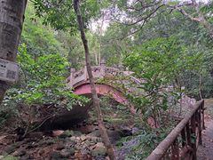 -海南热带雨林国家公园吊罗山景区