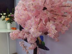 -漫游超人出国WiFi(上海浦东国际机场店)