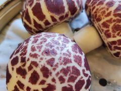 -横沥牛庄(总店)