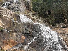 -海南霸王岭国家森林公园