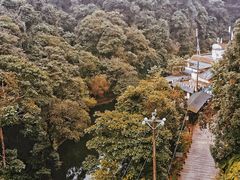 -云南屏边大围山国家公园