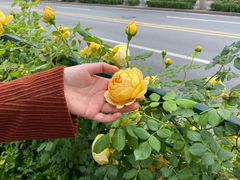 -阿拉木汗餐厅(山大路店)