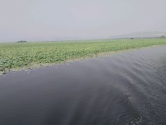 -微山湖红荷湿地景区