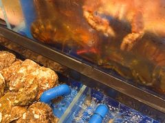 -百富源·海鲜辽菜(浑河堡店)