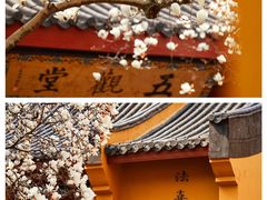 -杭州上天竺法喜讲寺