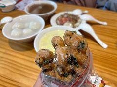 -海丝金凤(金鱼店)
