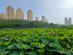 -前关湿地公园