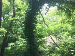 景点-银沙滩浴场