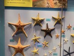 -天津自然博物馆