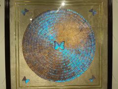 -上海昆虫博物馆