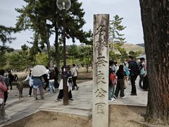 -奈良公园