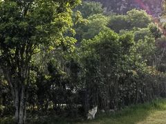 -雅达·阳羡溪山小镇中心