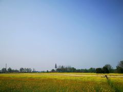 -中国天府农业博览园