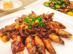 红烧鱿鱼筒-宝园酒家(美林M·LIVE天地东座店)