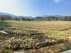 -韶山毛泽东同志故居
