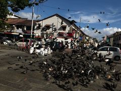 -槟城观音庙(Goddess of Mercy)