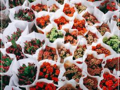-金科花卉市场