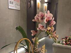 -施奈儿.洗头頭療.按摩SPA.采耳(上梅林店)