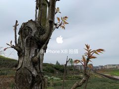 -磐安舞龙峡景区