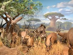 -陕西自然博物馆