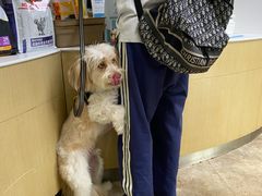 -美联众合动物医院·24h转诊中心