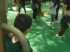 -西安市长乐公园