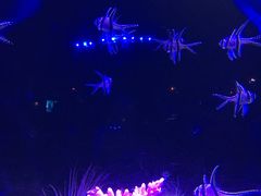 -沈阳海洋探索中心