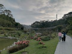 -东莞植物园