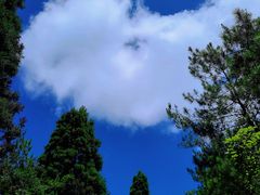 -井冈山风景名胜区-黄洋界