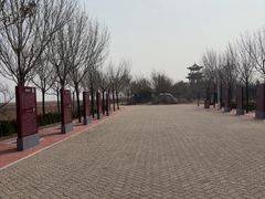 -南大港湿地风景区