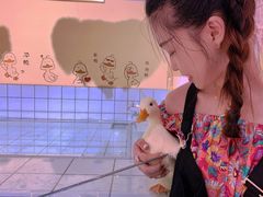 -RU DUCK柯尔鸭公社·撸鸭俱乐部·羊驼·小香猪