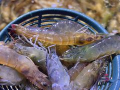 -聚盛源蒸汽海鲜火锅烤肉自助(巨川金海岸购物广场店)