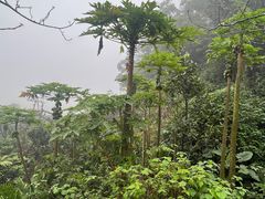 -海口火山口国家地质公园