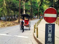 -奈良公园