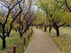 -长春公园(普阳街道)