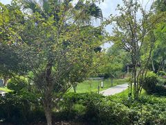 -成都安仁福朋喜来登酒店