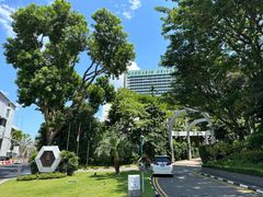 -新加坡丽思卡尔顿美年酒店