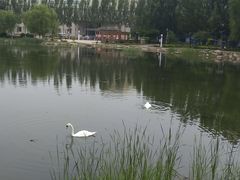 -吉林大学(前卫南区)