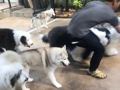 -TrueLove @ Neverland (Husky Cafe)