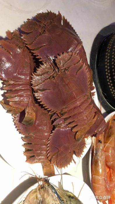 can加餐·海鲜自助餐厅(东二环泰禾店)虾姑排图片 - 第1张