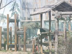 -鄂尔多斯野生动物园