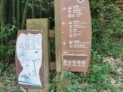 -都江堰中华大熊猫苑