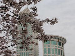 -西北湖绿化广场