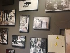 -百好乐宠物友好餐厅(朝外大街店)