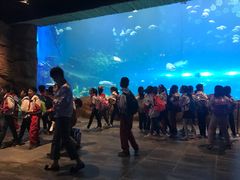 -华夏文旅海洋公园